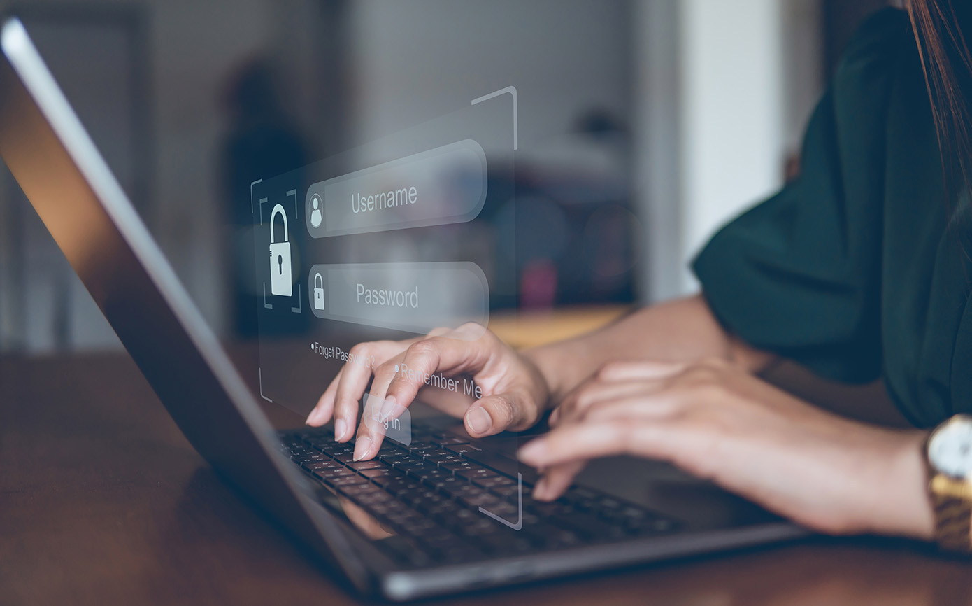 Concept of security data network